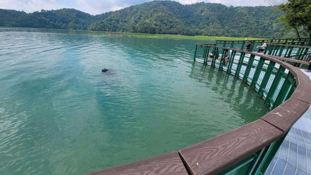 Sun Moon Lake Youth Hostel Yuchi Exterior foto